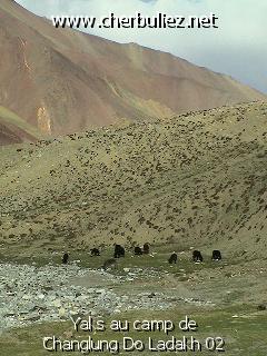 légende: Yaks au camp de Changlung Do Ladakh 02
qualityCode=raw
sizeCode=half

Données de l'image originale:
Taille originale: 168086 bytes
Temps d'exposition: 1/300 s
Diaph: f/400/100
Heure de prise de vue: 2002:06:15 17:18:15
Flash: non
Focale: 124/10 mm
